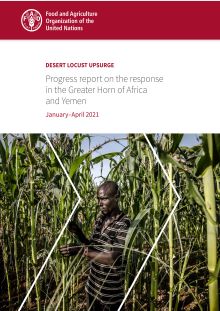 Desert locust upsurge | Progress report on the response in the Greater Horn of Africa and Yemen (January-April 2021)